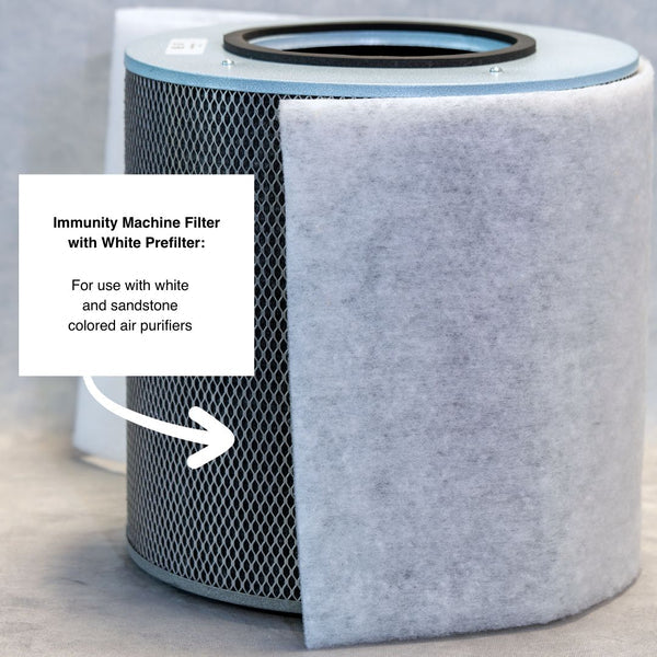 Austin Air Immunity Machine Replacement Filter