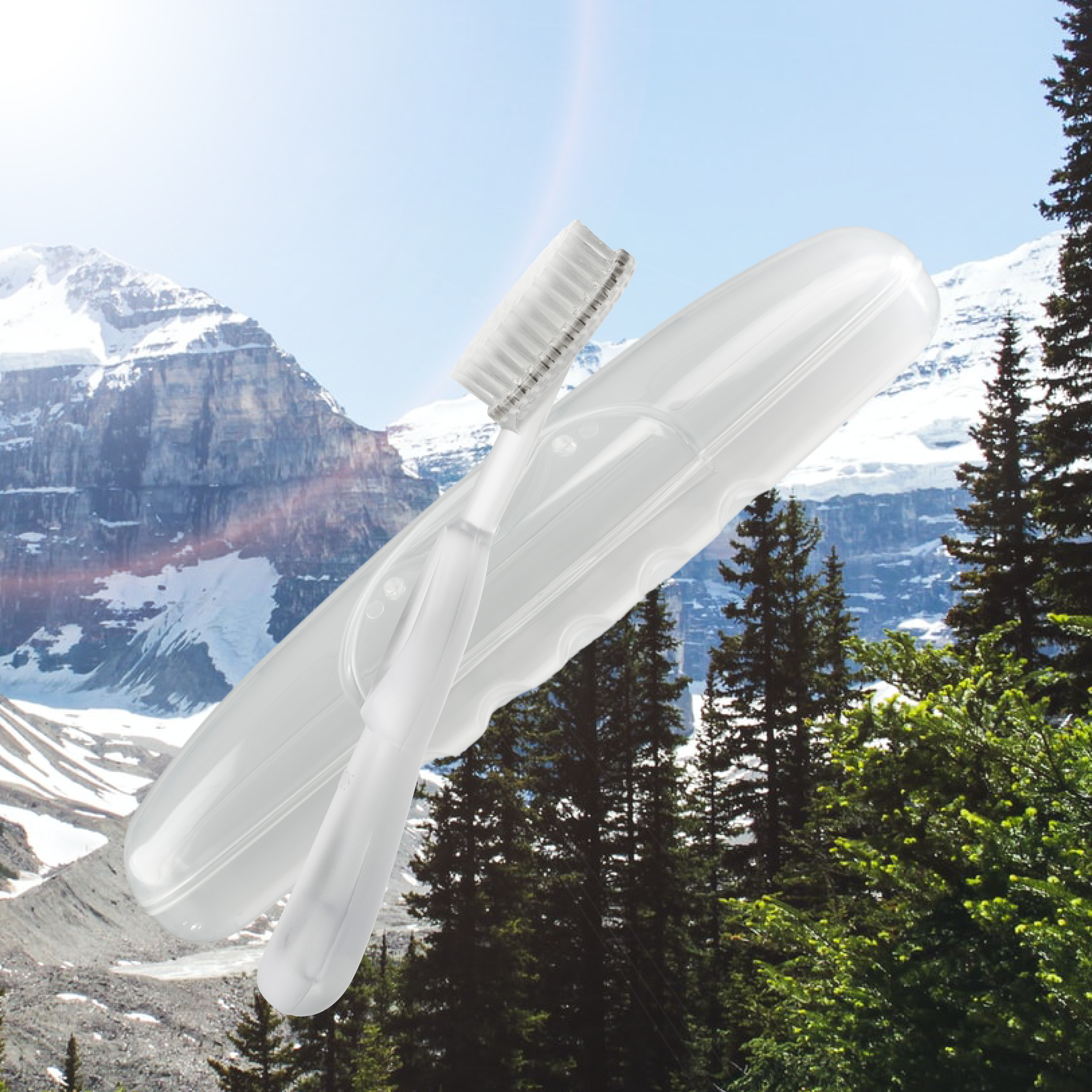 Radius Original Toothbrush in Free Travel Case