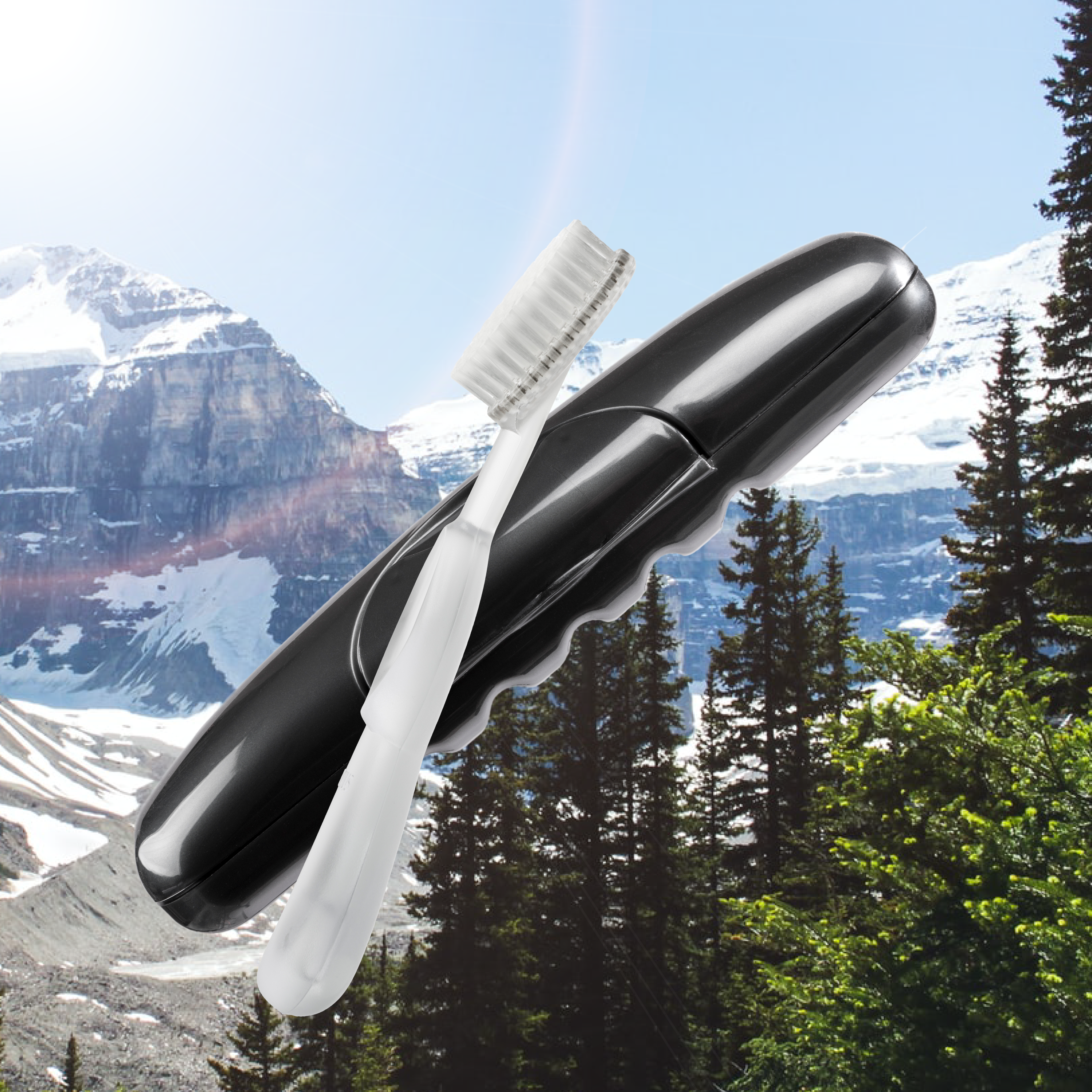 Radius Original Toothbrush in Free Travel Case