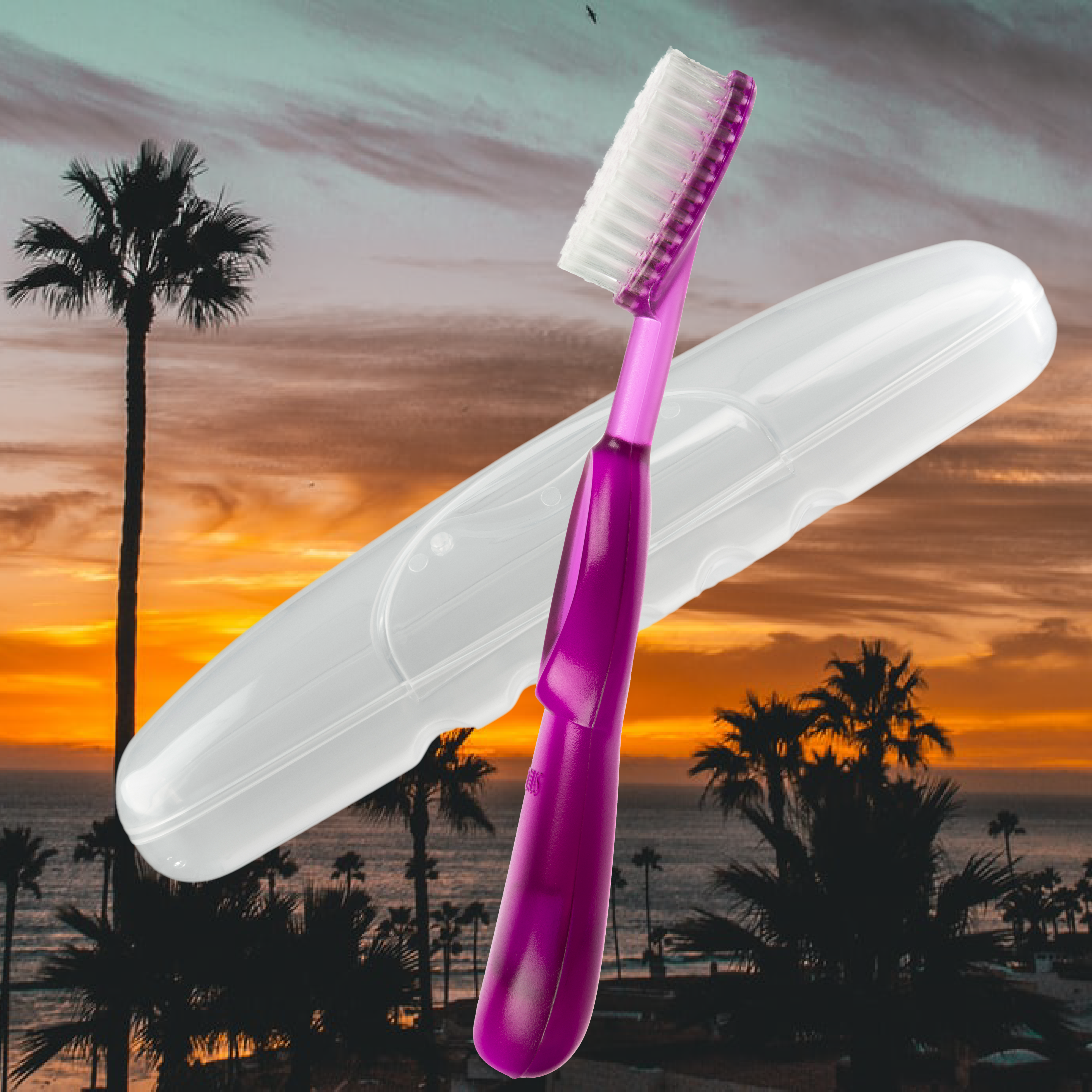 Radius Original Toothbrush in Free Travel Case