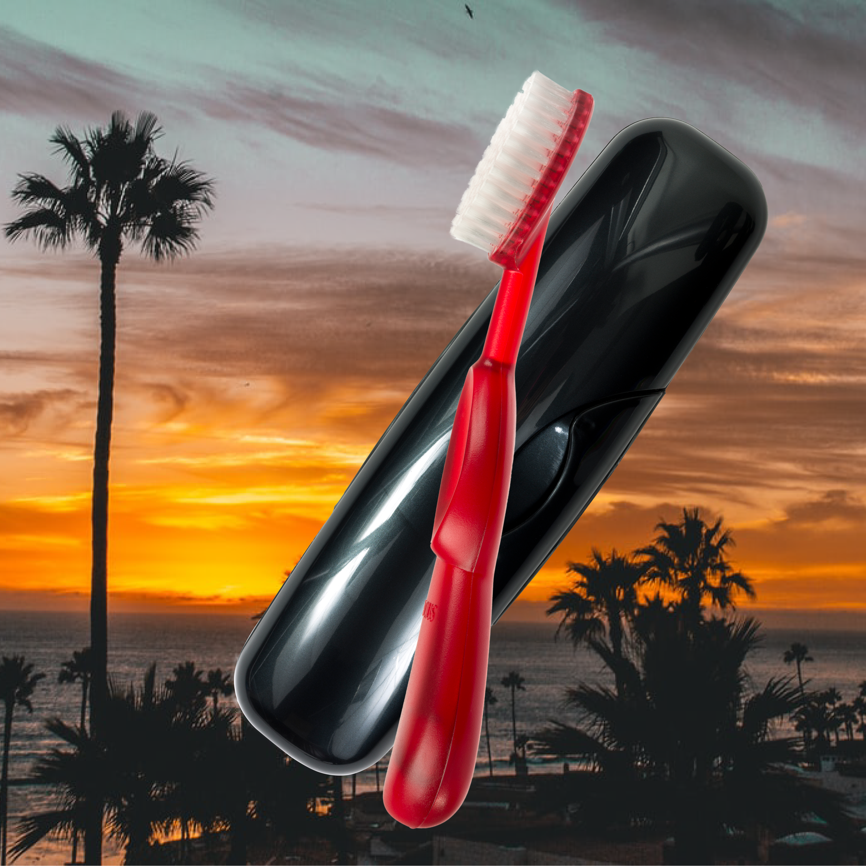 Radius Original Toothbrush in Free Travel Case