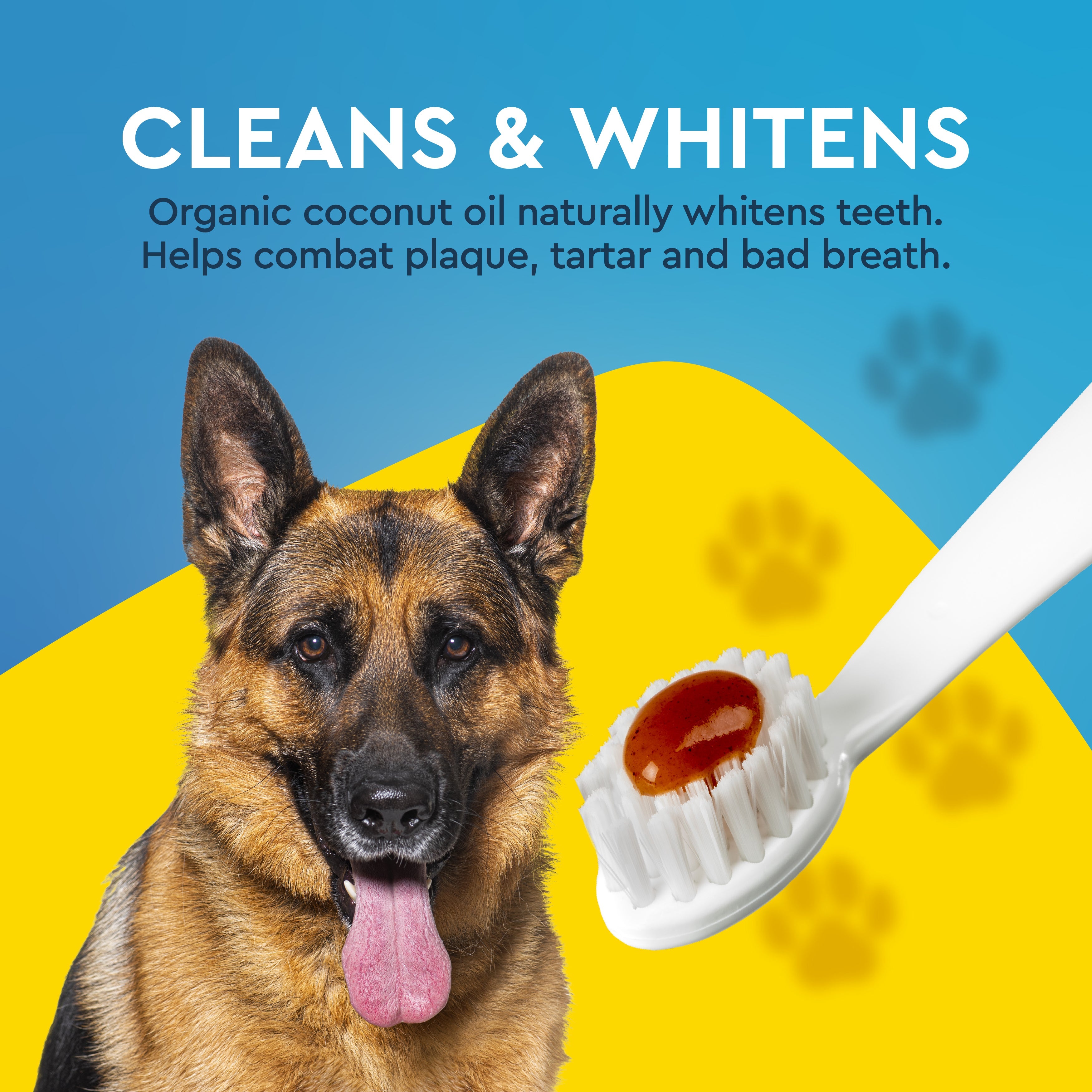 Radius Organic Canine Dental Kit with FREE Critter Case