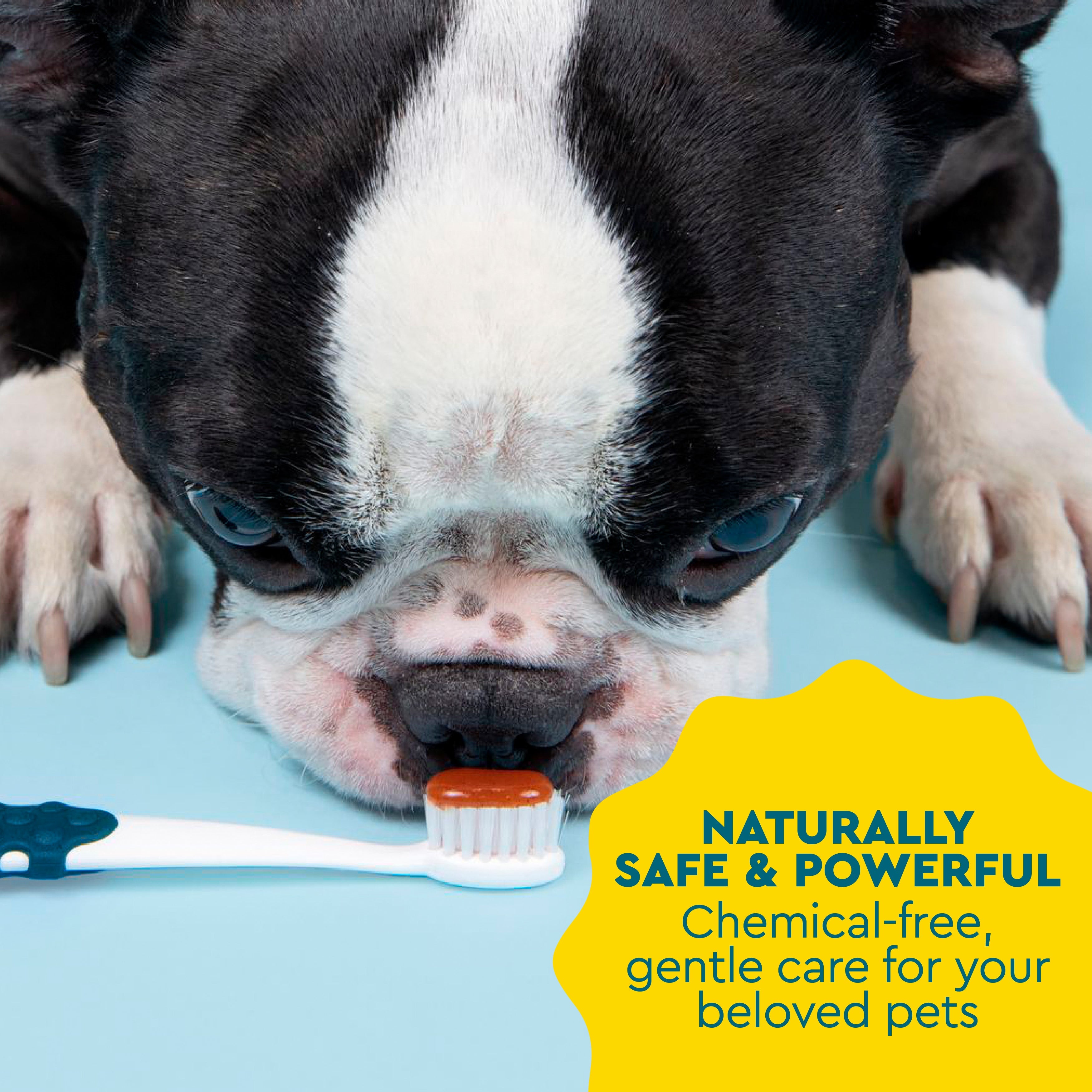 Radius Organic Canine Dental Kit with FREE Critter Case