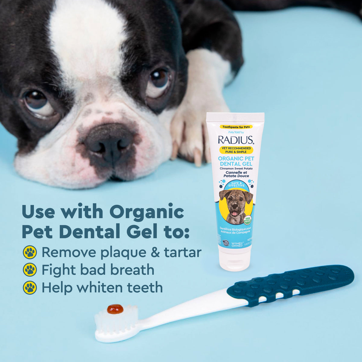 Radius Lush & Plush Soft Pet Toothbrush