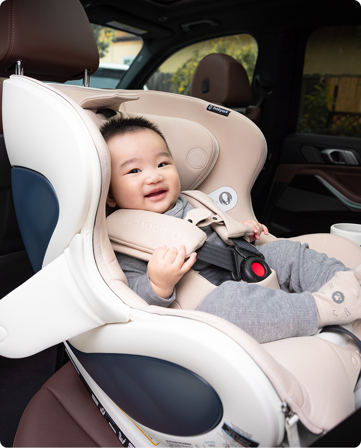 babyark Smart Convertible Car Seat