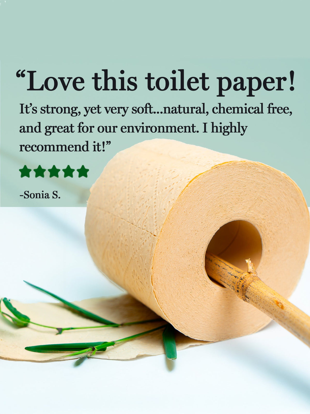 Rustic Strength Panda Eco Paper | Bamboo Toilet Paper | 48 Rolls