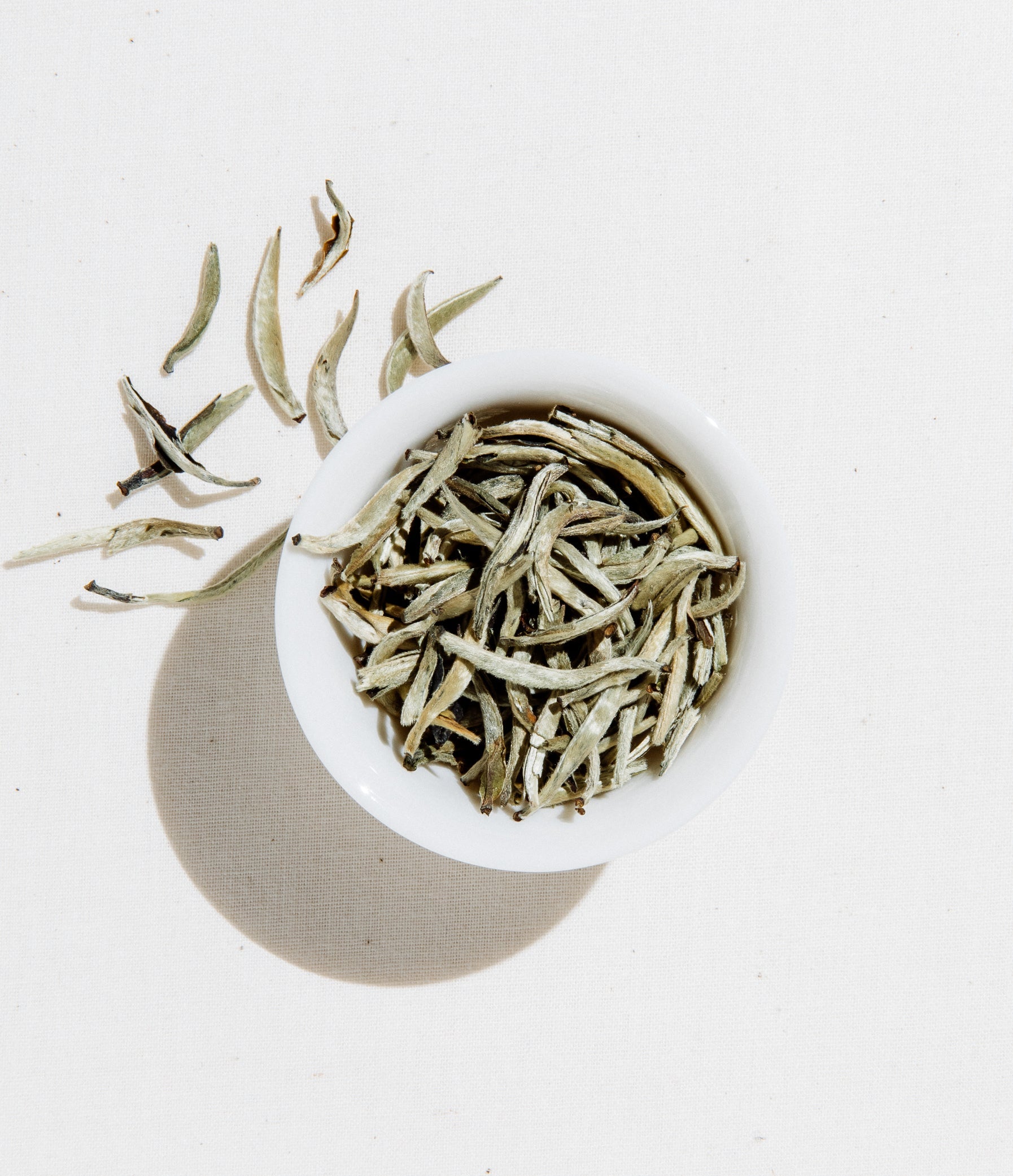 White bowl filled with dried white tea leaves on a light background