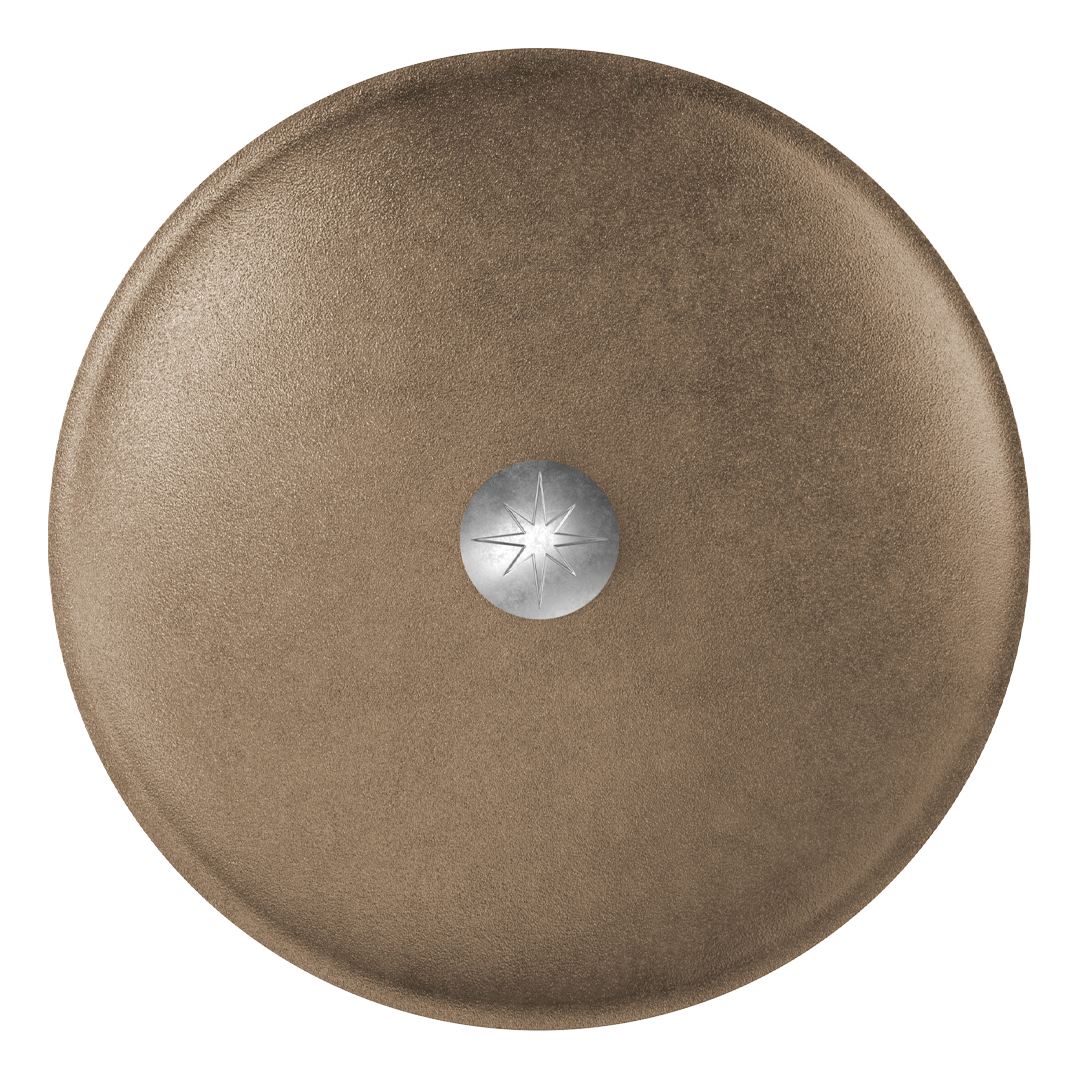 Stargazer Cast Iron 12-Inch Cast Iron Lid