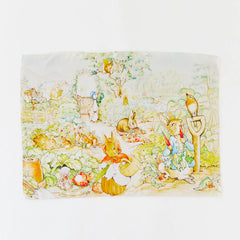 8. Peter Rabbit Seek & Find Silk
