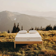 Savvy Rest