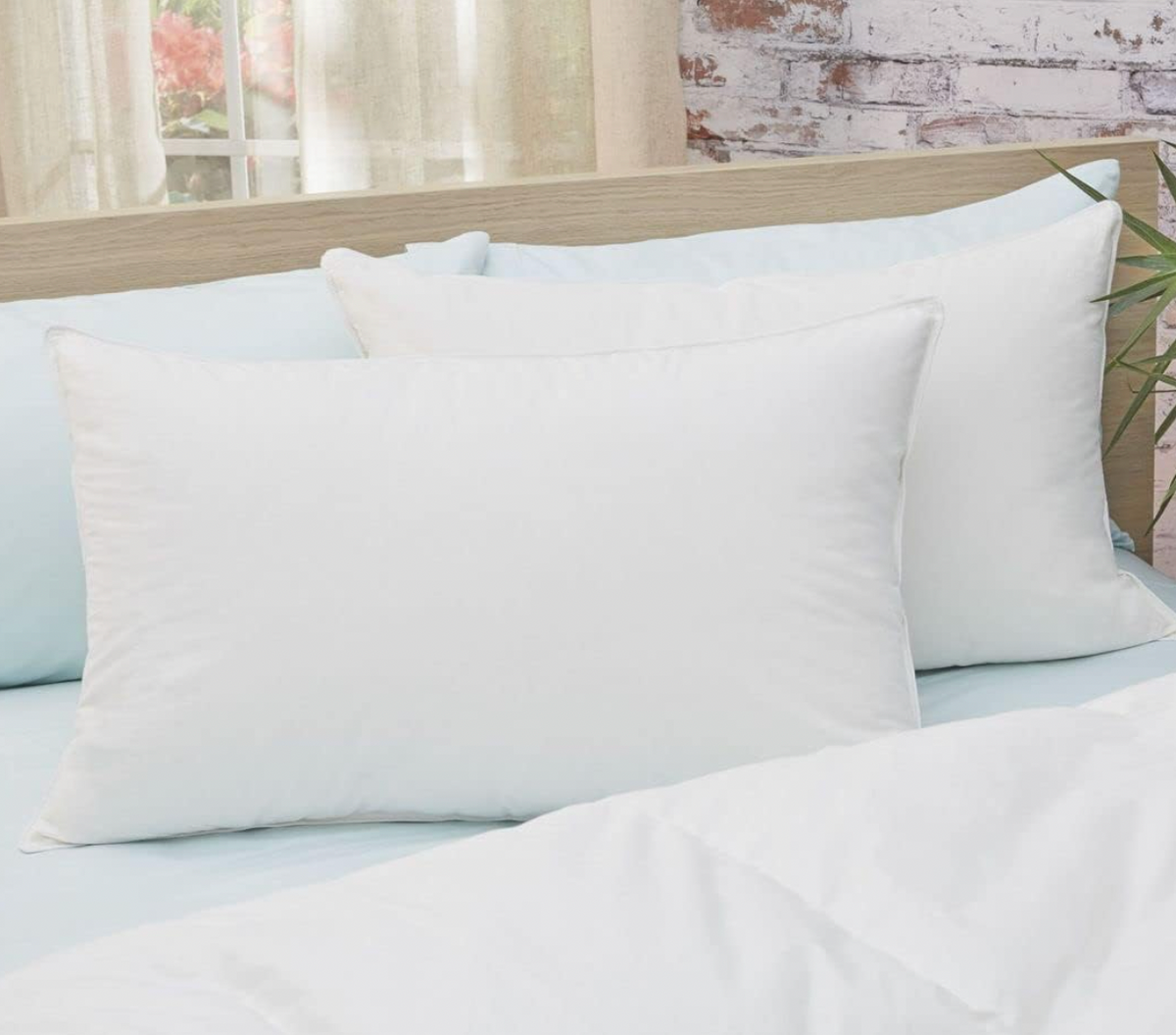 1. Premium Down & Feather Chamber Pillow