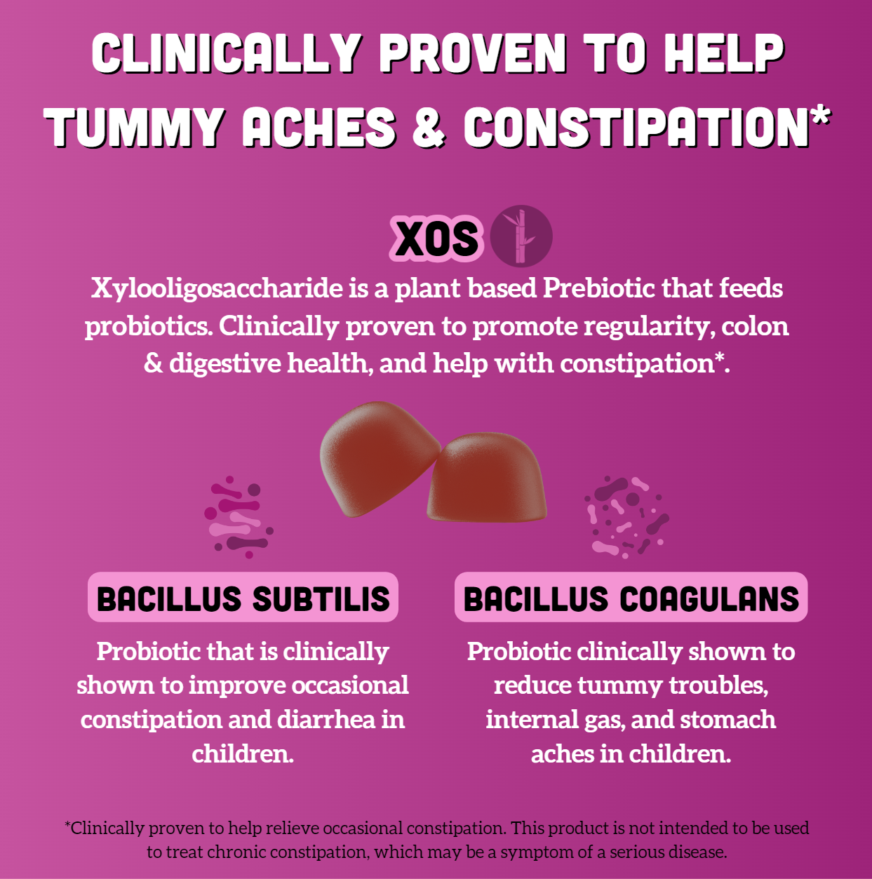 Llama Naturals Kids Prebiotic & Probiotic Gummies, Mixed Berry (120 ct)