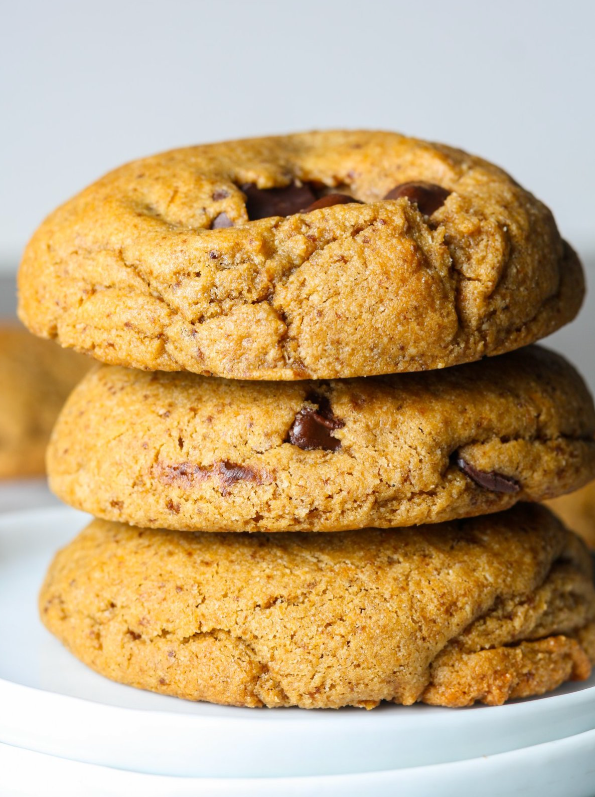 Sweet Addison's Creatine Chocolate Chip Cookie - 20 Pack