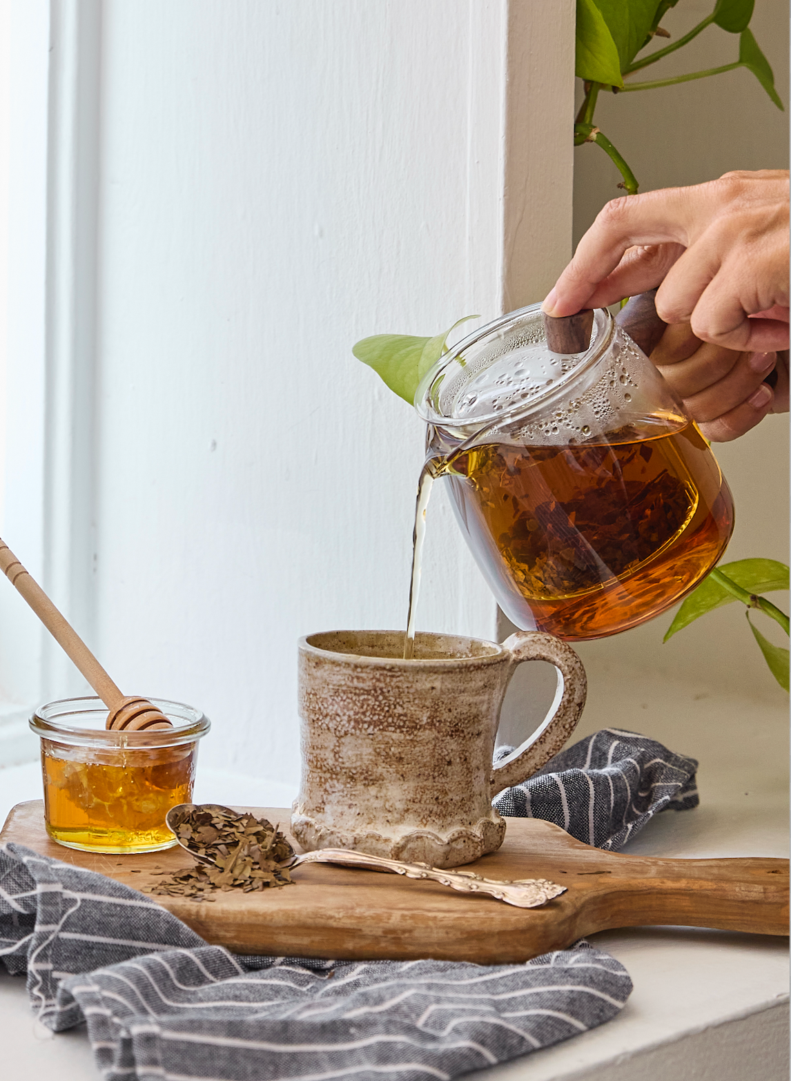 CatSpring Yaupon Perfect Teapot Starter Kit