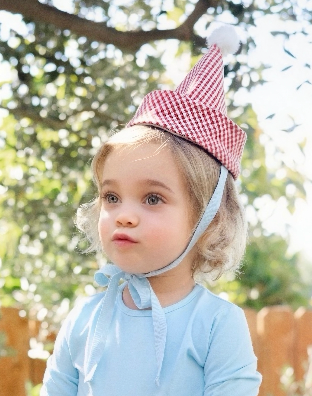 Band of the Wild Gingham Party Hat