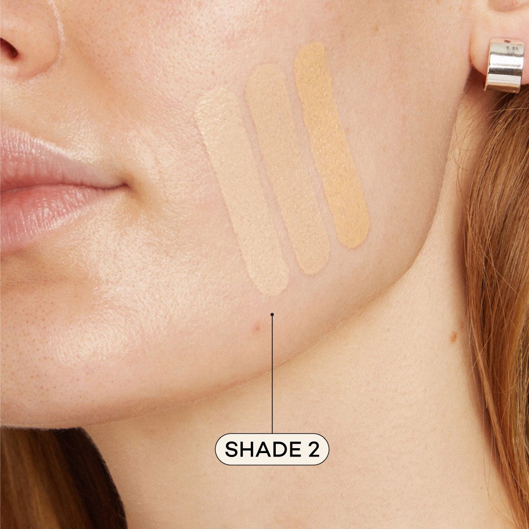 Axiology Fungdation - Mushroom Foundation