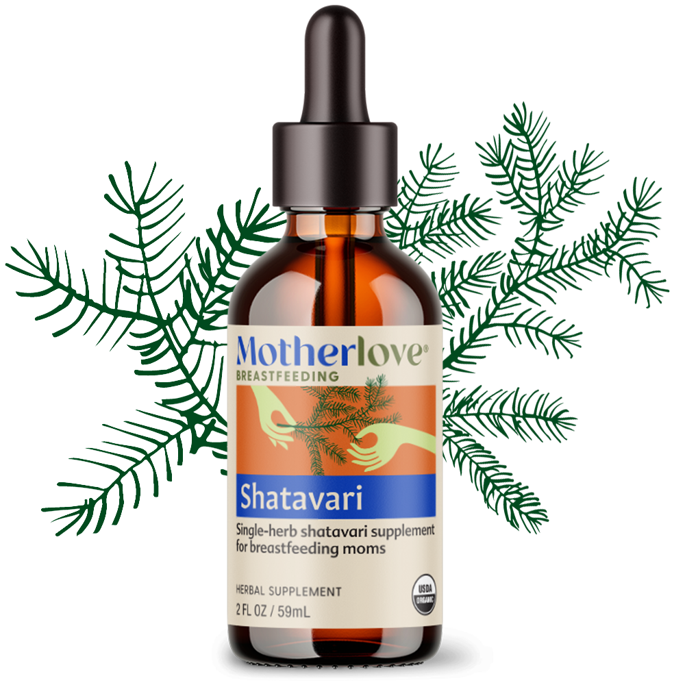 Motherlove Herbal Company Shatavari - Tincture