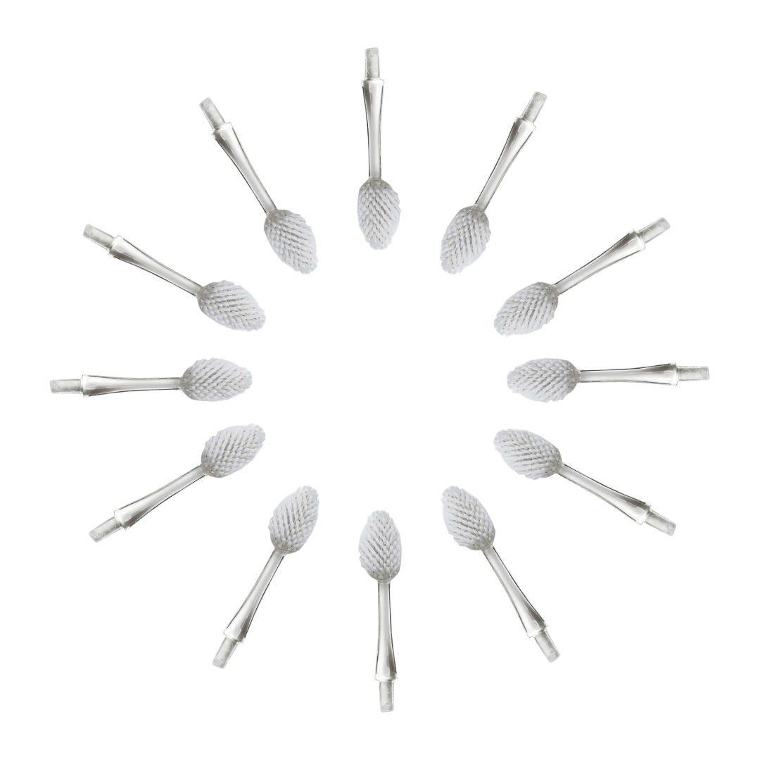 Radius Brush Replacement Heads (2 Pack - Source & TOUR)