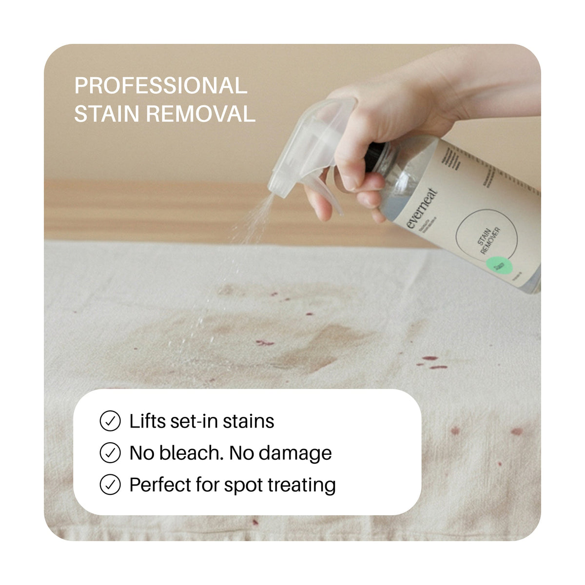 Everneat Stain Remover - Concentrate (16oz)