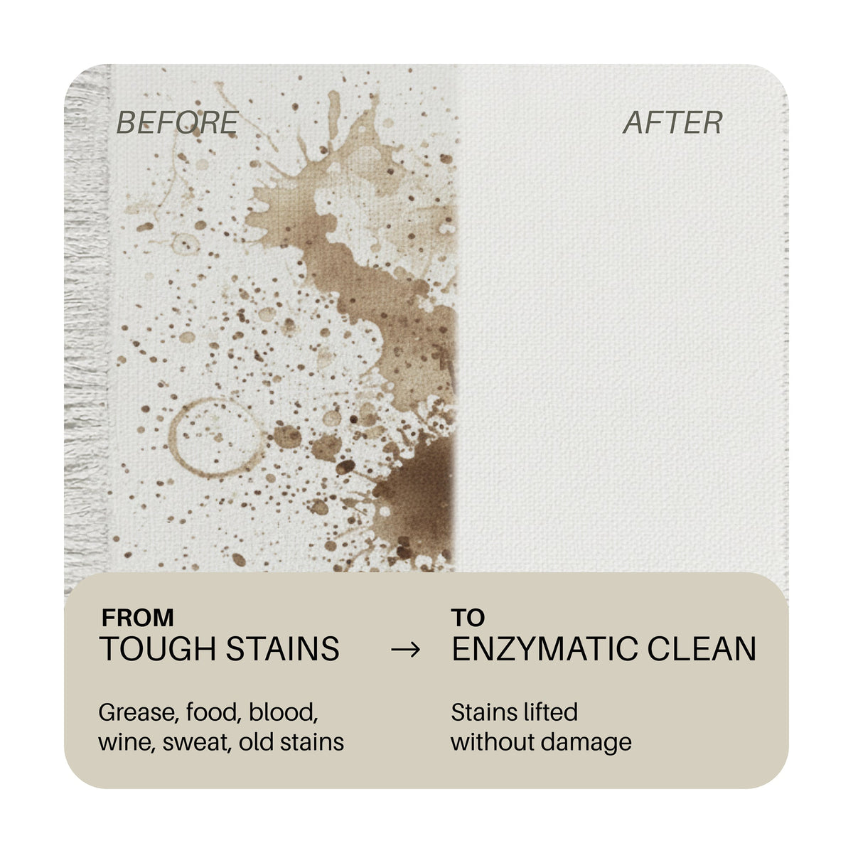Everneat Stain Remover - Concentrate (16oz)