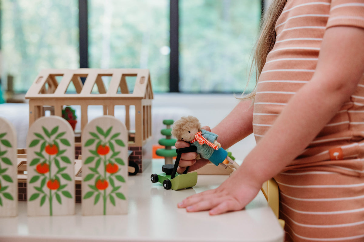 Tender Leaf Greenhouse and Garden Set