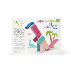 Tegu Magnetic Blocks