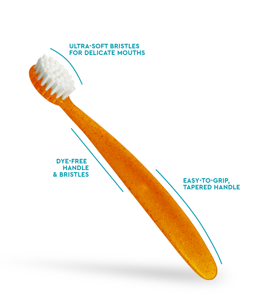 Radius Totz® Brush (18 mo+)