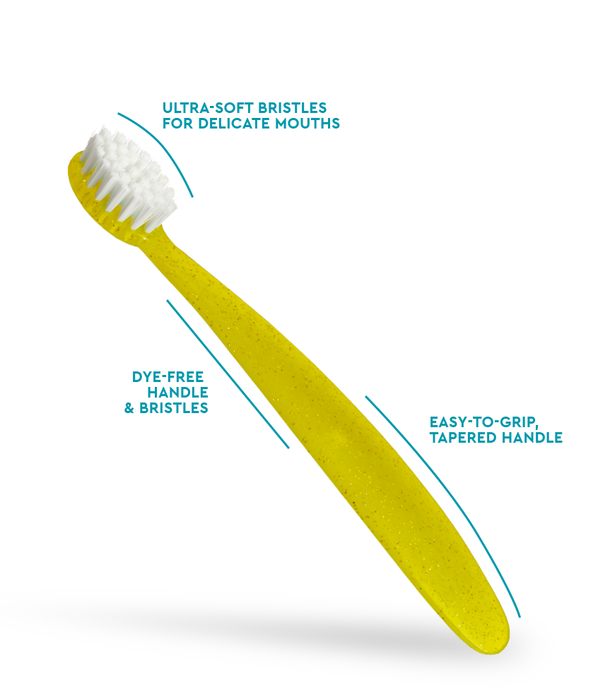 Radius Totz® Brush (18 mo+)