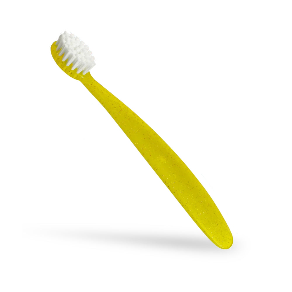 Radius Totz® Brush (18 mo+)
