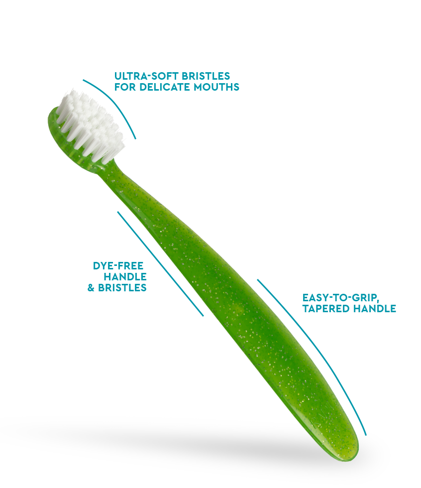 Radius Totz® Brush (18 mo+)