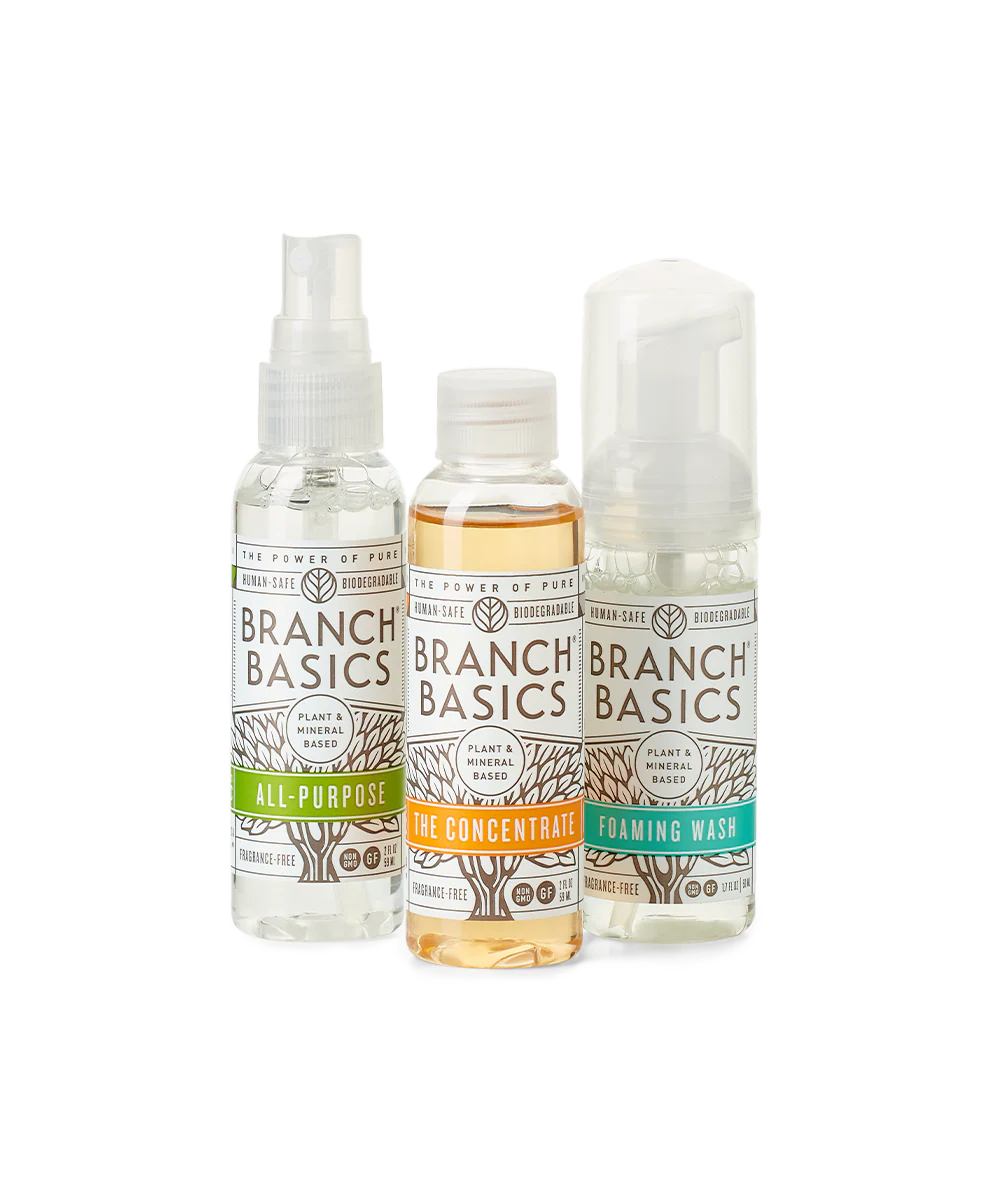 4. Mini Cleaning Travel Kit
