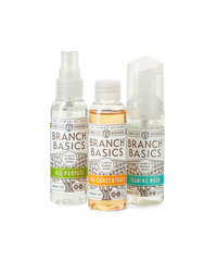 4. Mini Cleaning Travel Kit