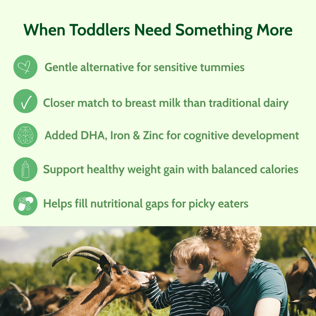 Holle Goat Milk Toddler Drink - Stage 3 | Non GMO (14 oz)