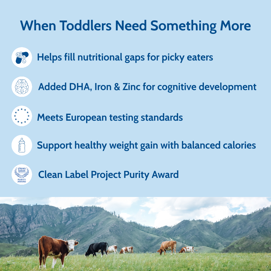 Holle Cow Milk Toddler Drink - Stage 3 | Non GMO (14 oz)