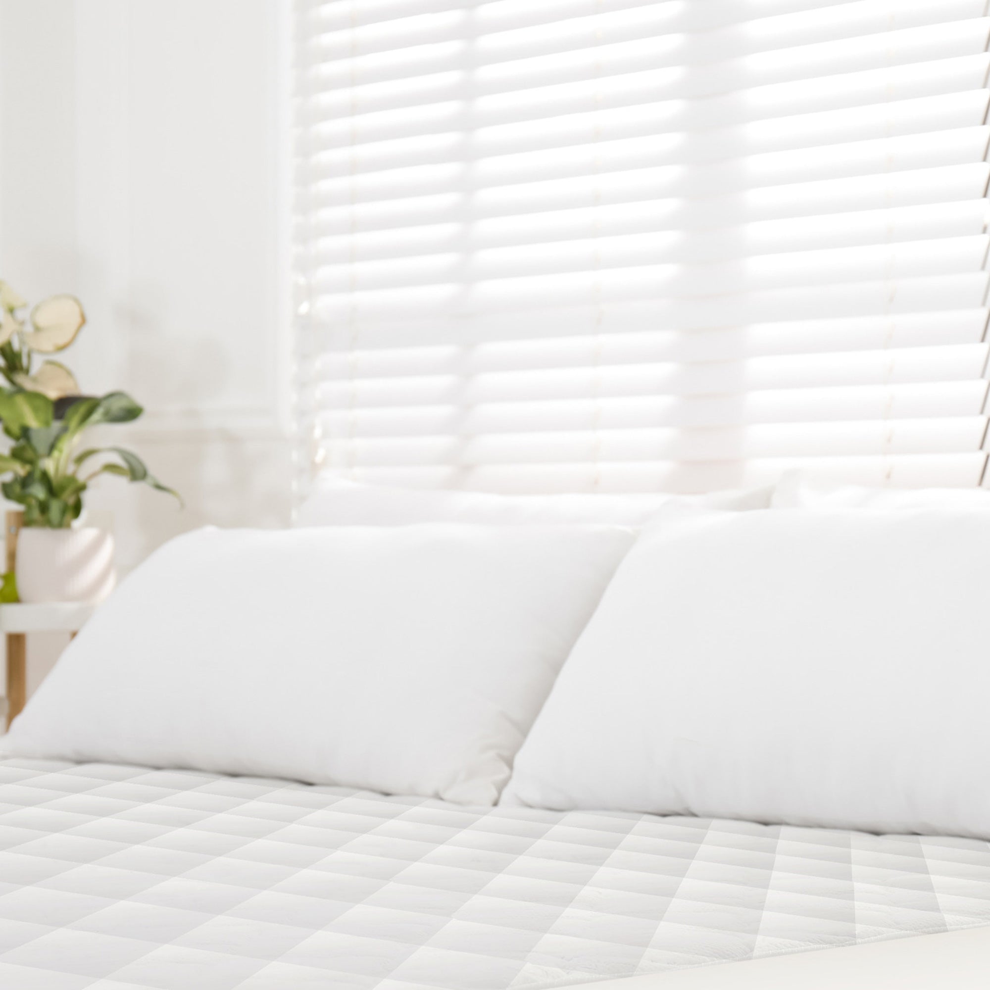 Whisper Organics Luxury Organic Cotton Quilted Mattress Pad Protector