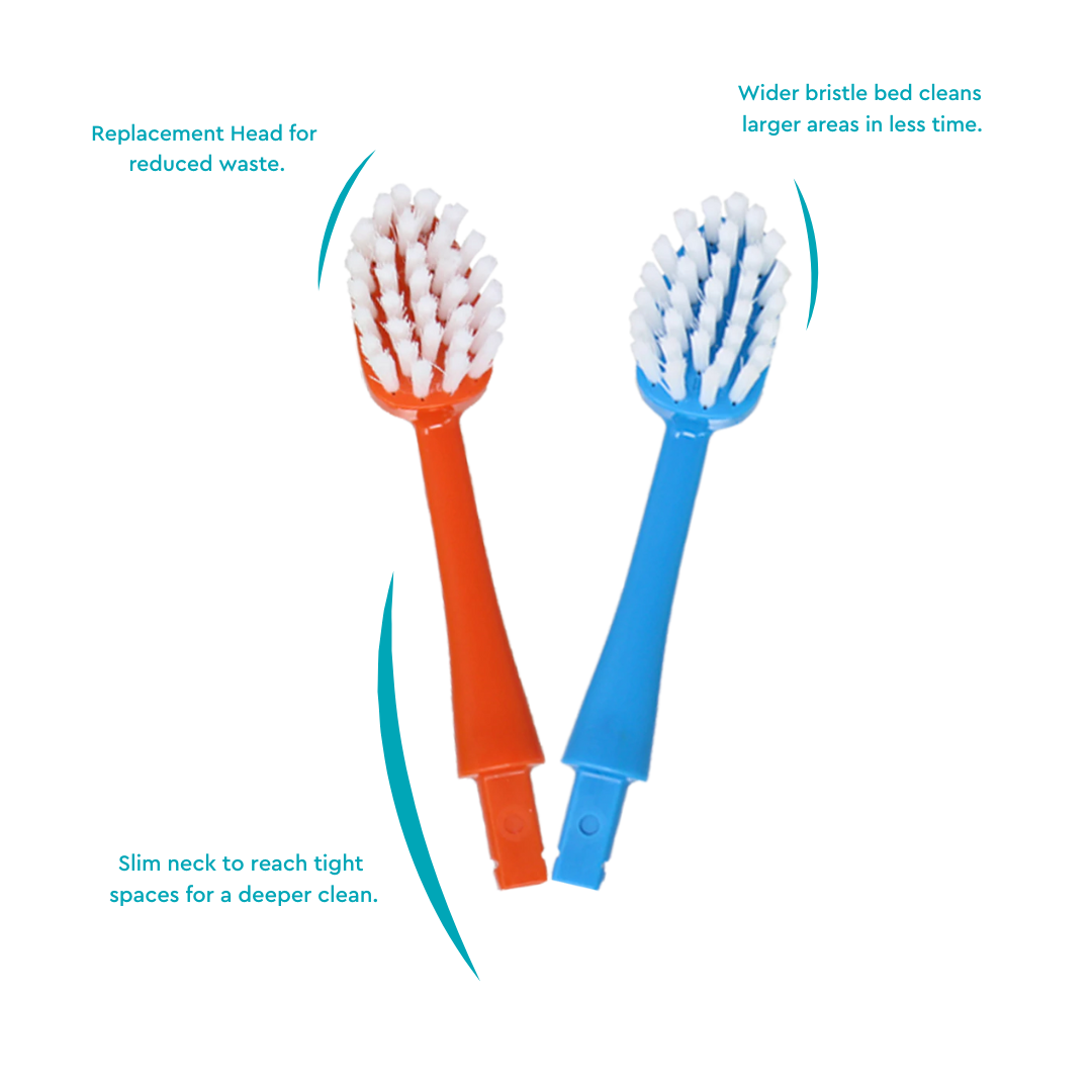 Radius Big Kidz® Replacement Heads (2 pack)