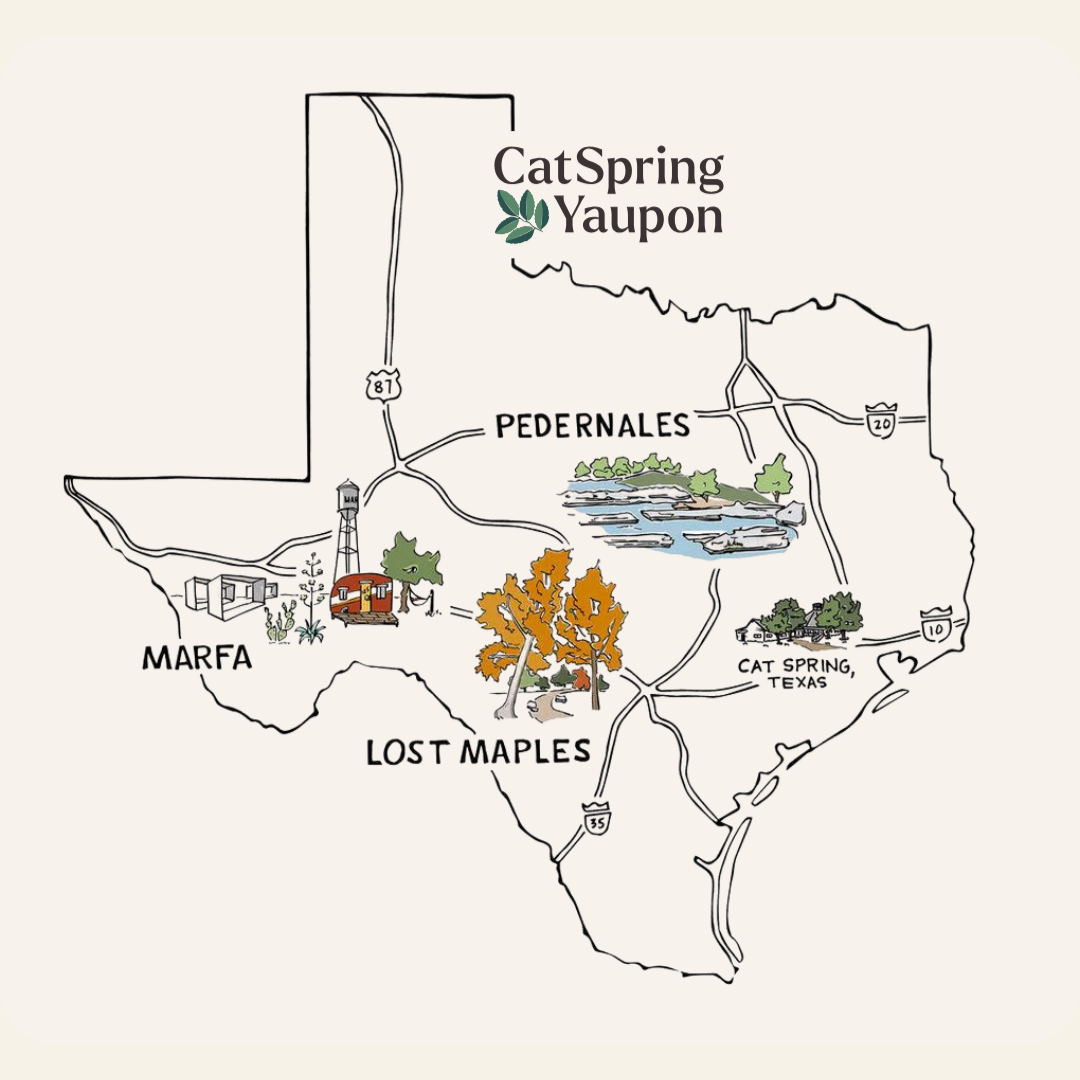 CatSpring Yaupon Loose Leaf Yaupon Variety Pack – Green, Medium & Dark Roasts