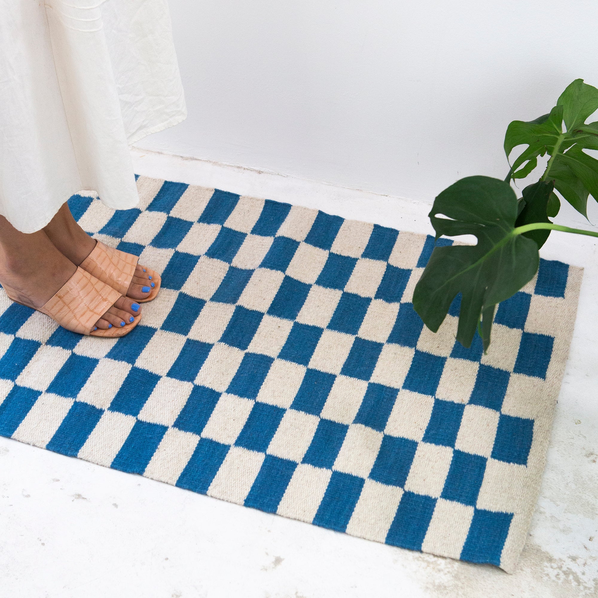 Blue and white checkered rug on a light wooden floor with a plant and foot in the foreground.