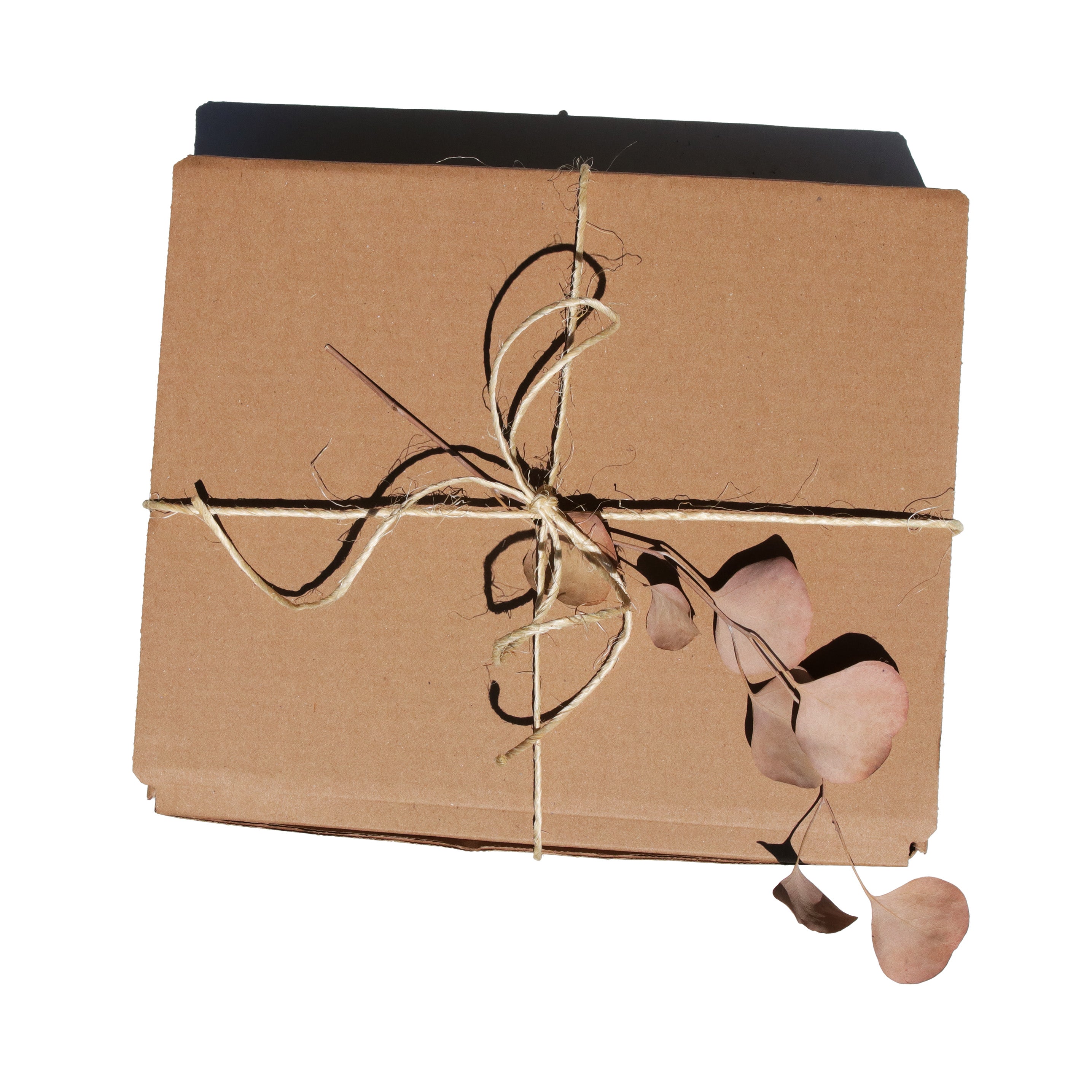 Cardboard box wrapped with brown paper and string, featuring a decorative branch with leaves on a white background.