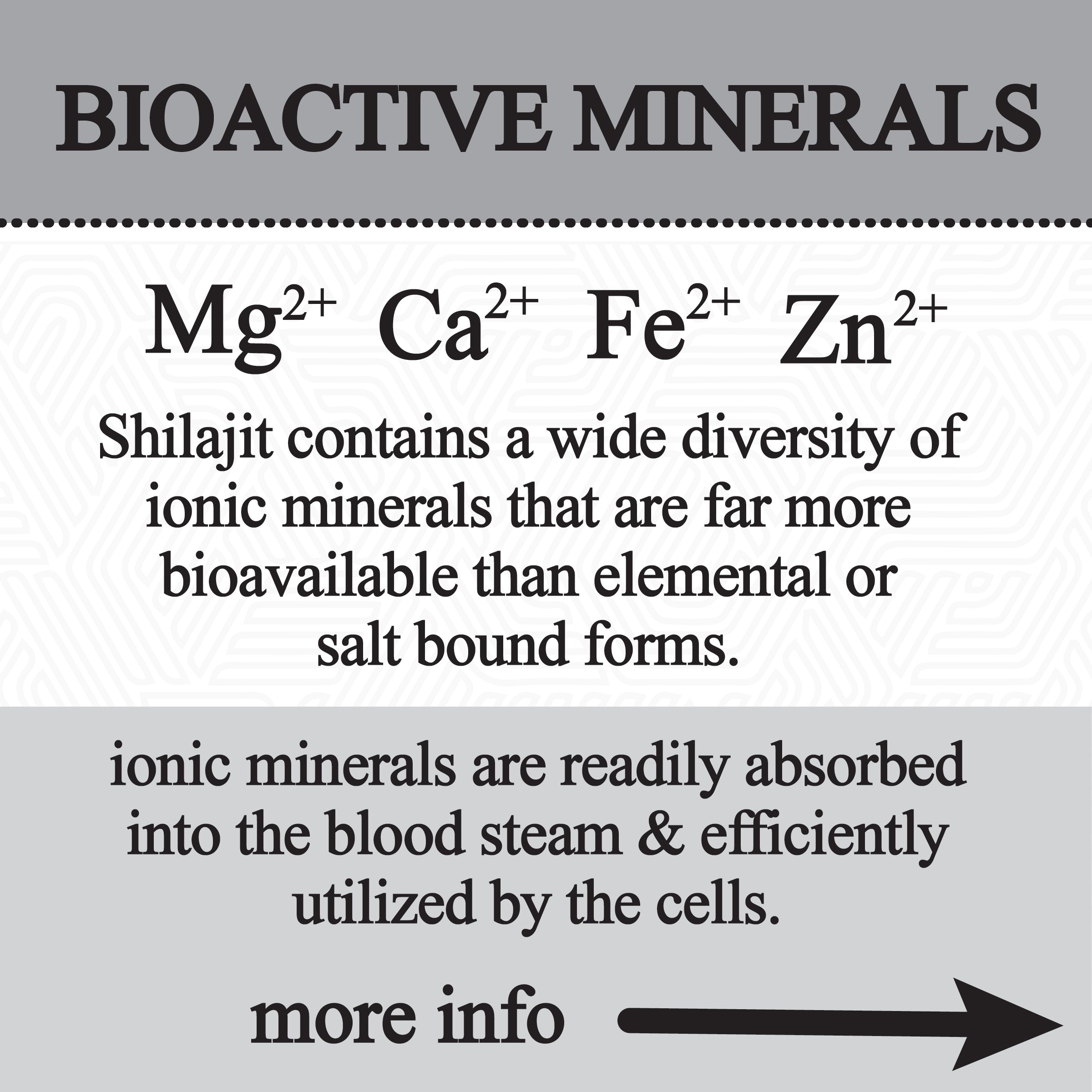 Roots Apothecary Shilajit Glycerite (60ml)
