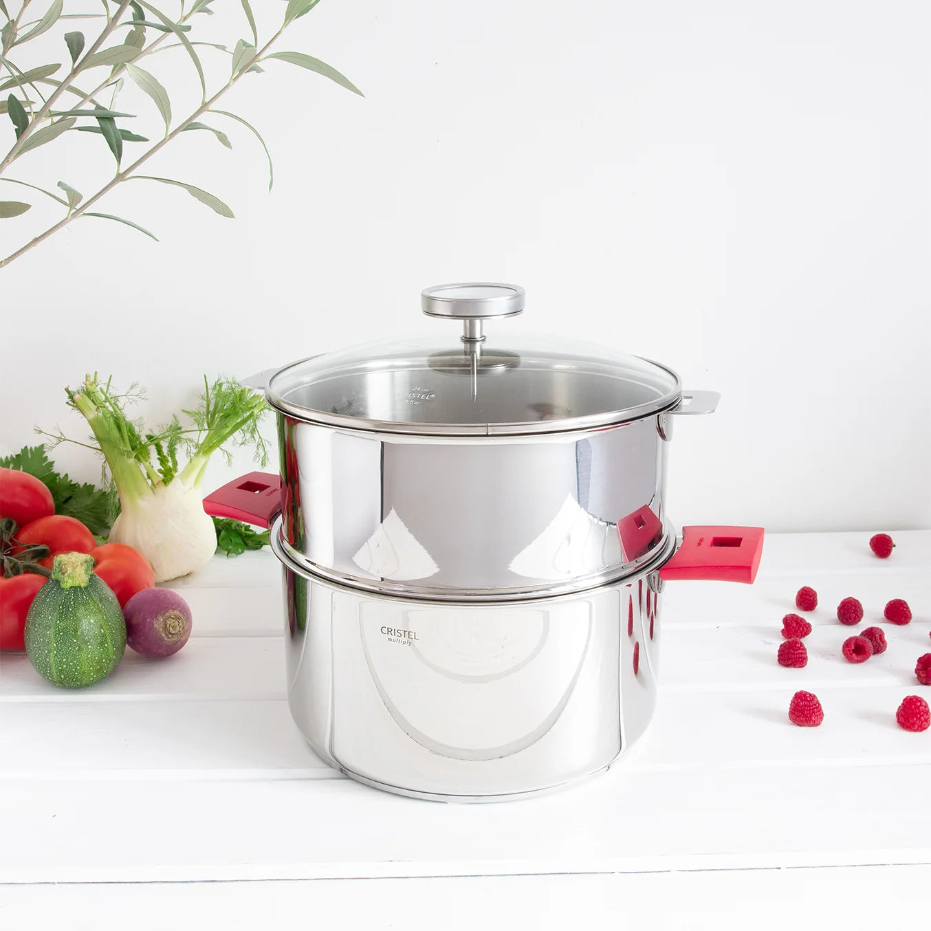 Cristel BIOME®, Healthy Cooking