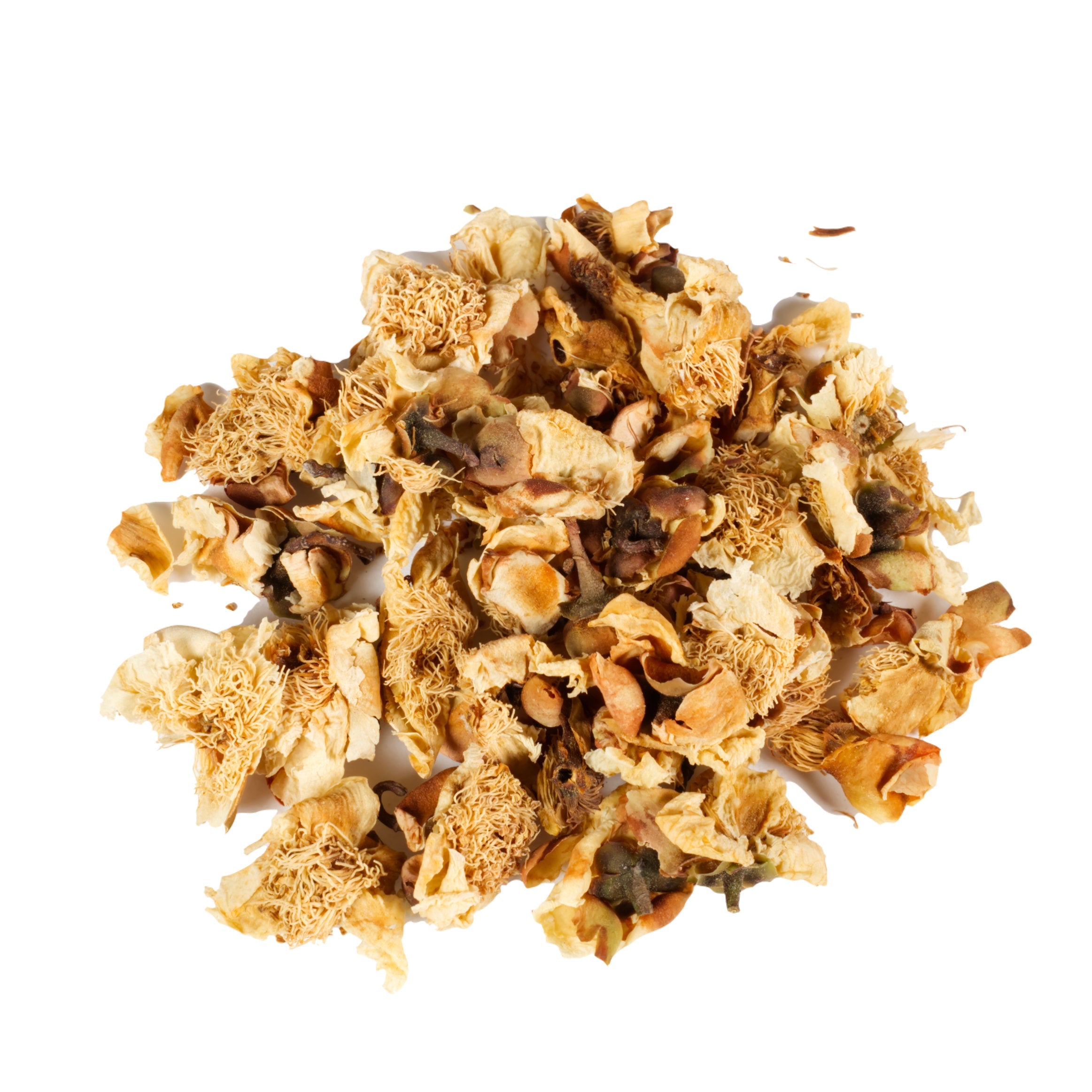 Dry herbs or flowers on a white background