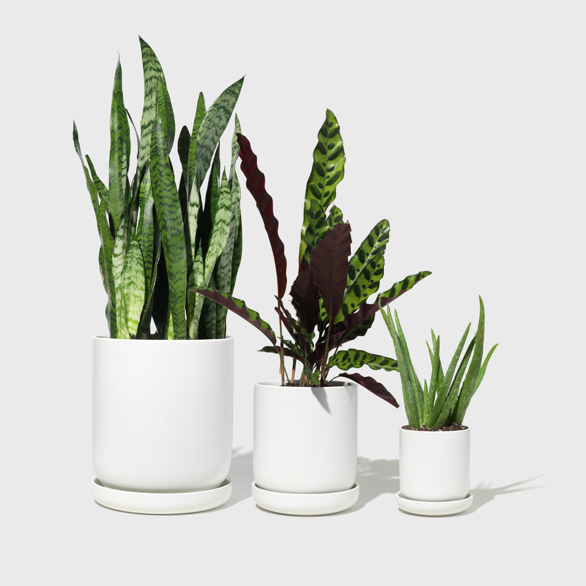 Public Goods Assorted Stoneware Planters