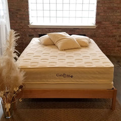 CozyPure