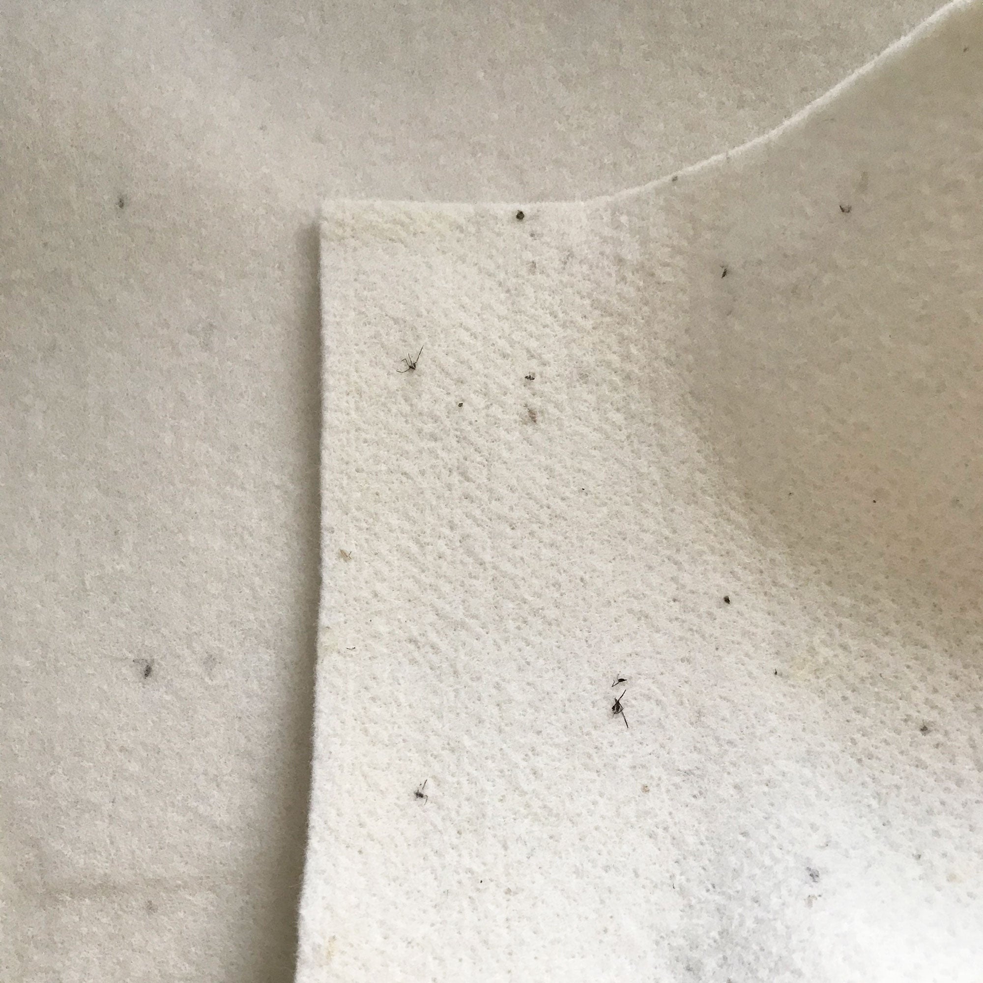 Wendy Anne Organic Wool Mattress Protection Pad
