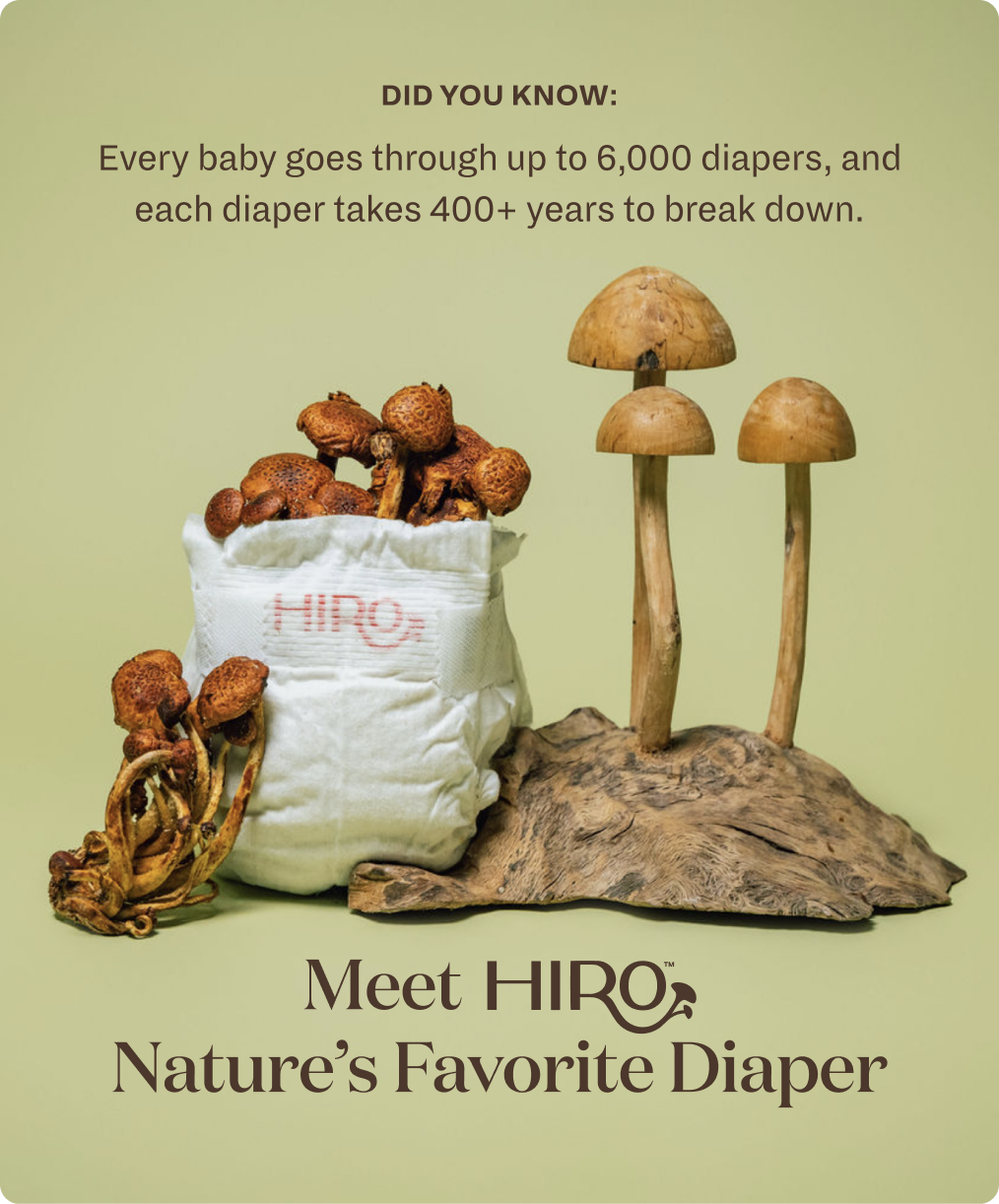 Hiro One-Time Diaper Box