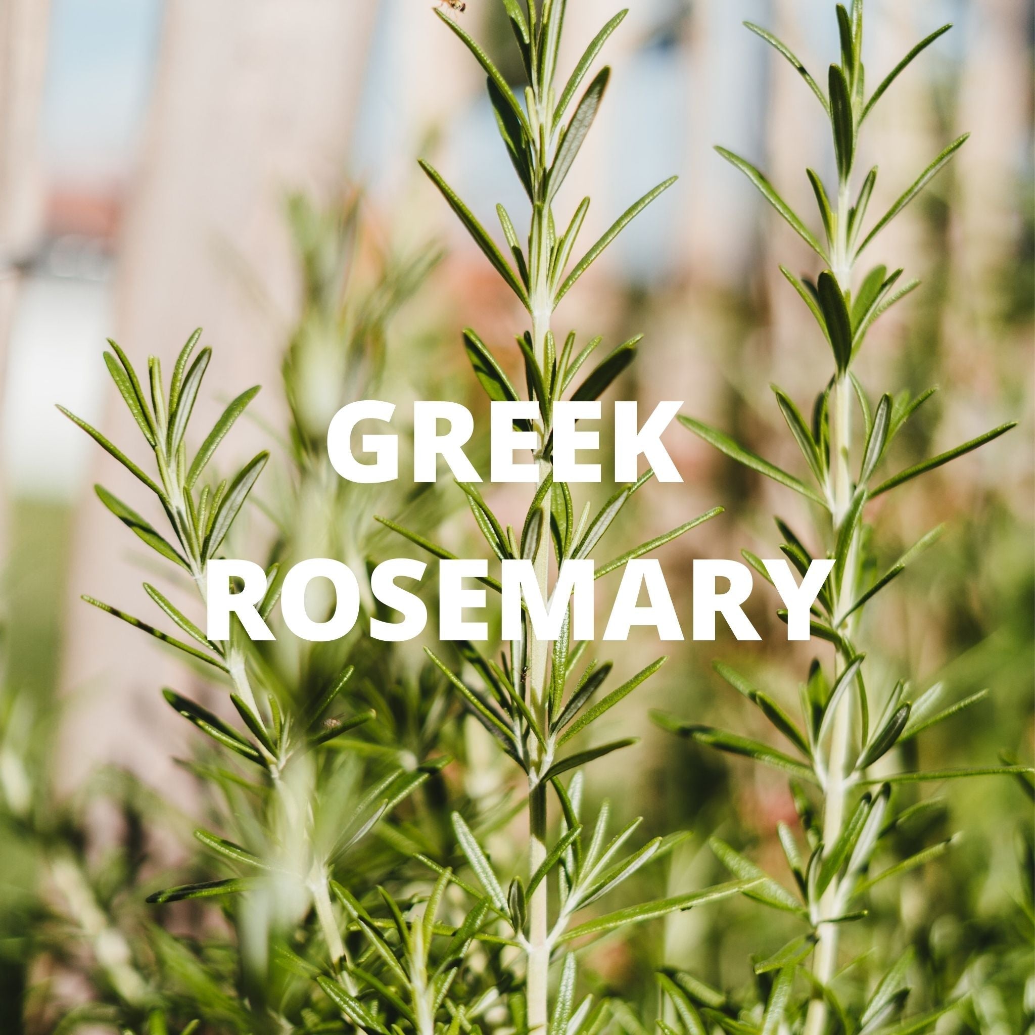 Greek Superherbs Digestion Tea