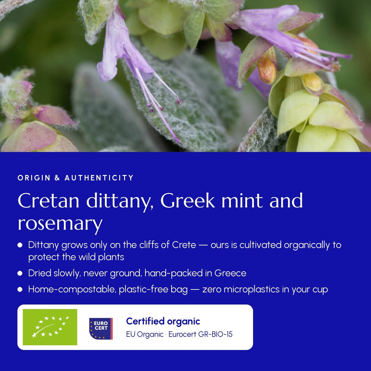 Greek Superherbs Digestion Tea