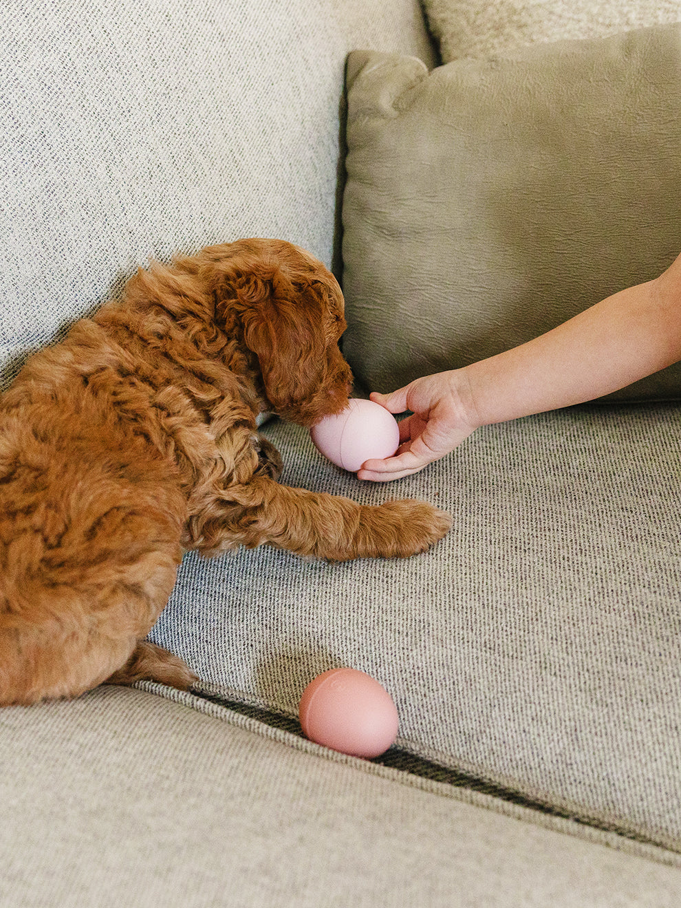 The Loving Egg Earth Collection