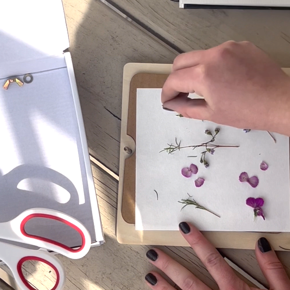 Elseware Unplug Nature & Paper Craft Set